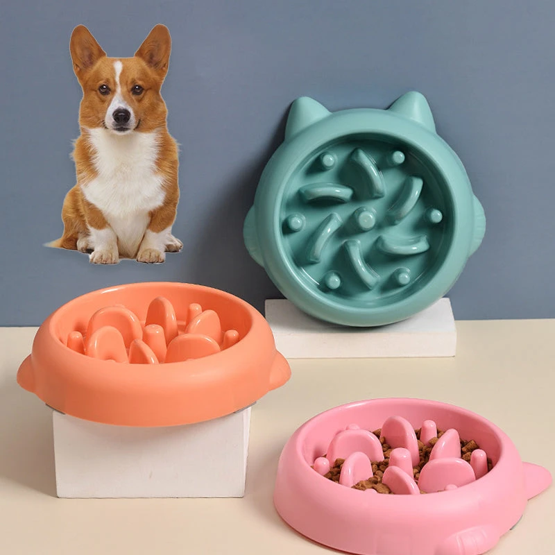 TrailPaw Elevated Interactive Slow Feeder