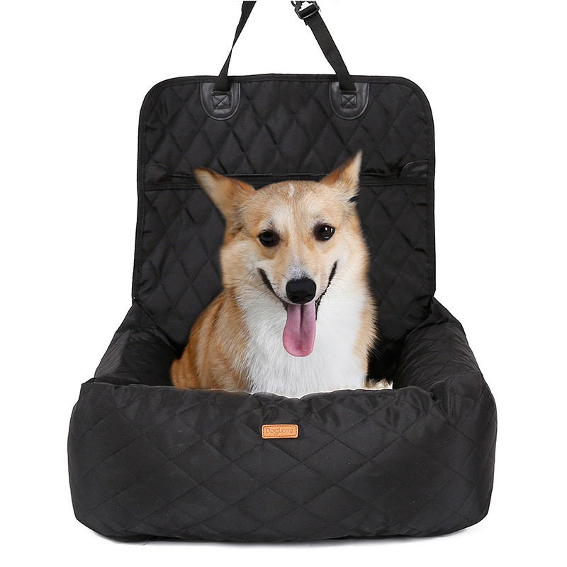 Trailpaw