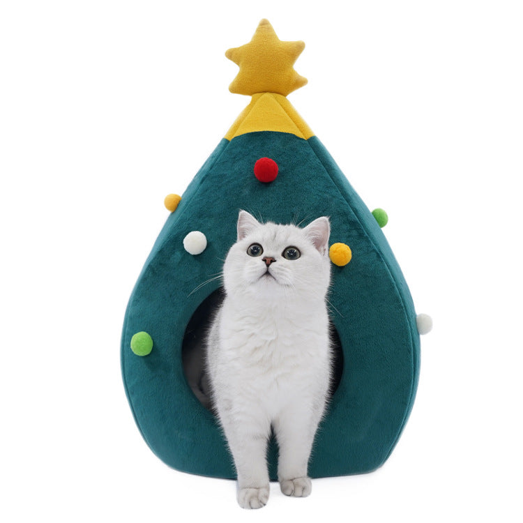 Trailpaw