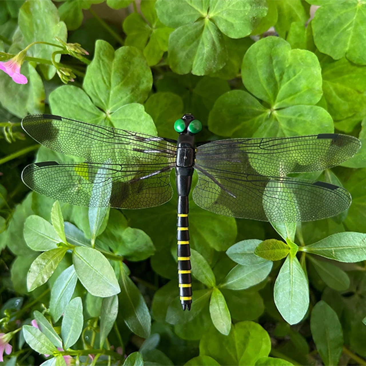 10 Pcs Dragon Fly Clips, 2026 New 3D Artificial Dragonfly Hat Clip, Dragonfly Garden Decorr (10PCS)