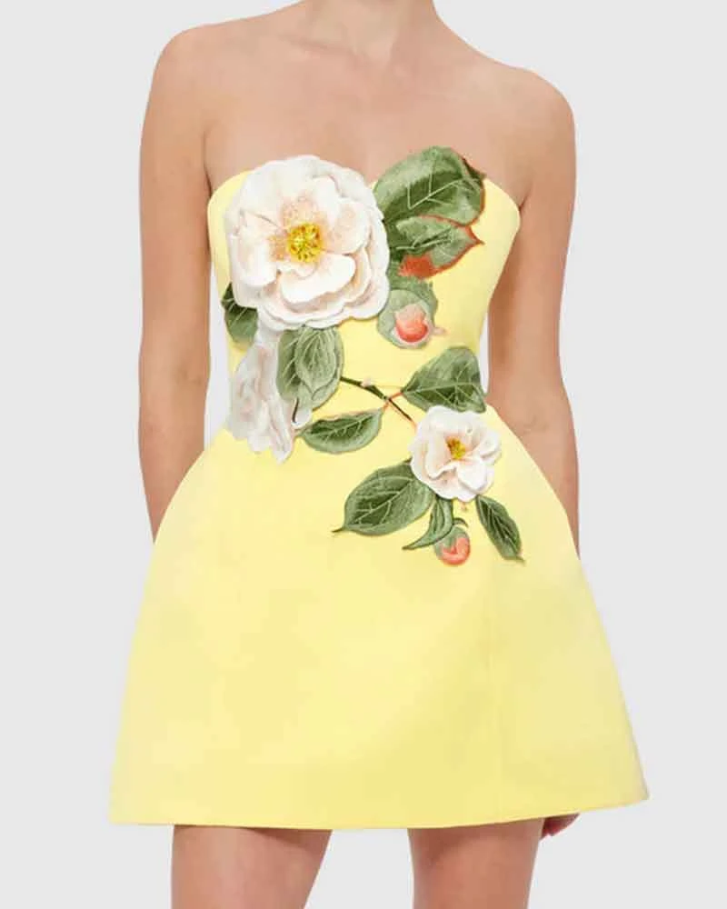 Garden Party Floral Applique Bustier Mini Dress