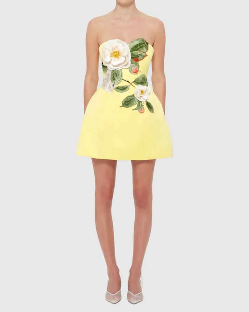 Garden Party Floral Applique Bustier Mini Dress