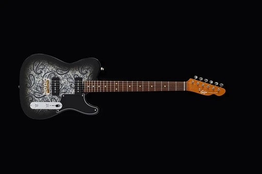 TLV-P90 Paisley