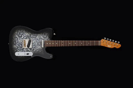 TLV-CLASSIC Paisley