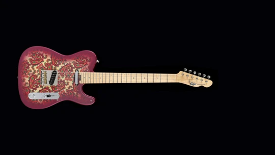TLV-CUSTOM Paisley