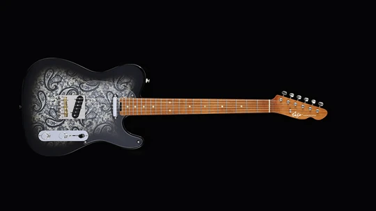 TLV-CUSTOM Paisley