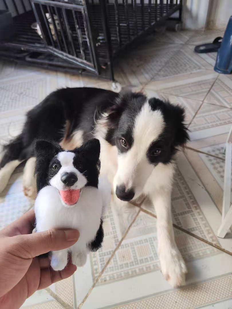 GJNest Pet