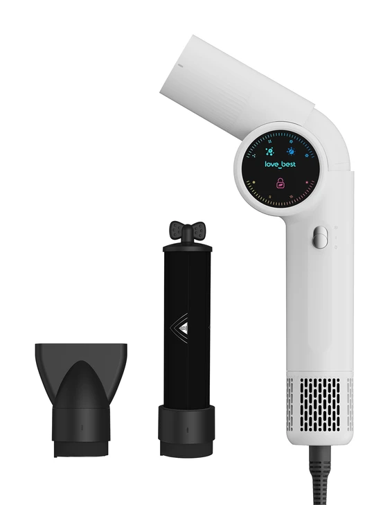 6 in 1 Professional Hot Air Styler & Straightener, Fast Drying