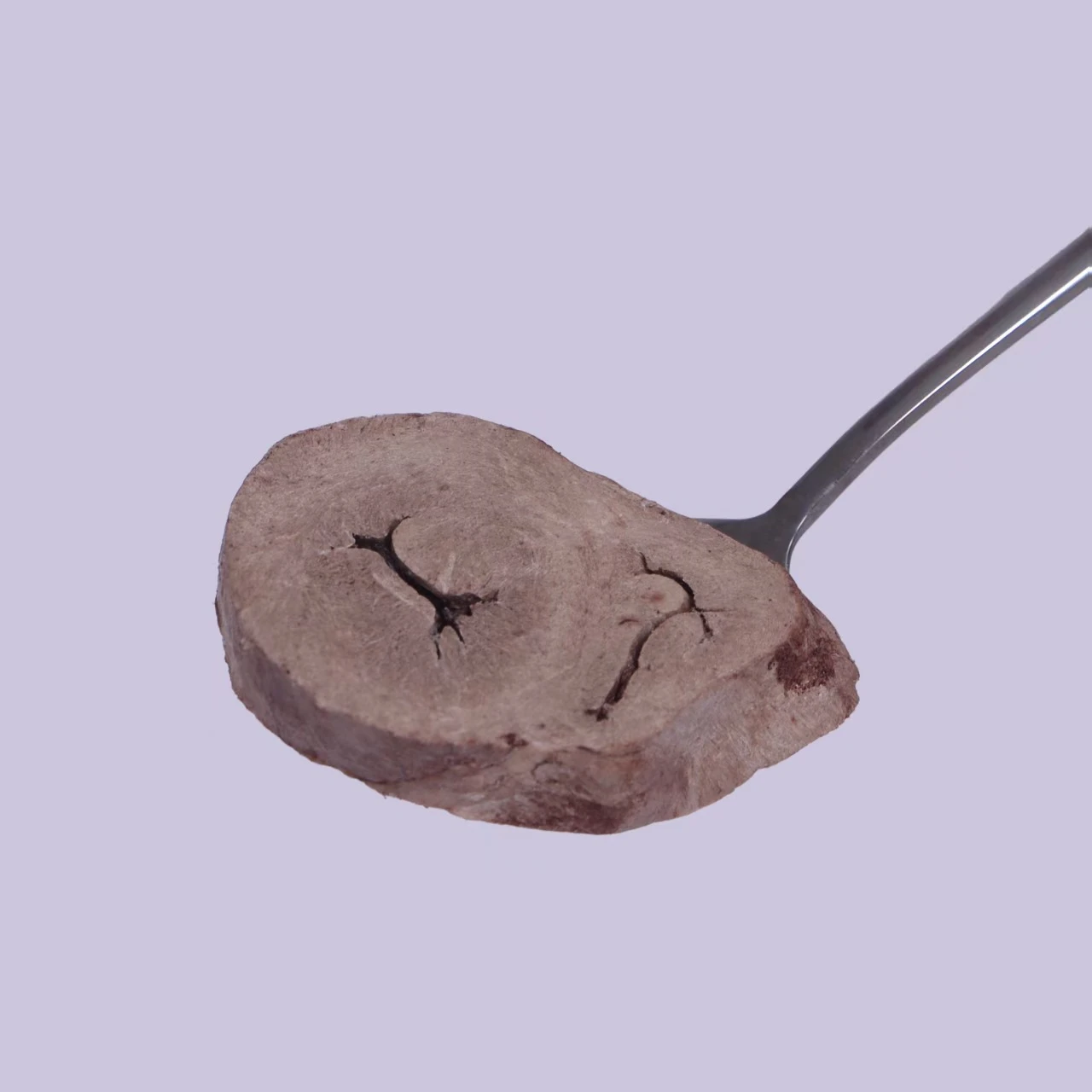 Freeze-dried pet treats: whole pig hearts, heart strips, and heart chunks—thick, all-natural cuts, perfect as training rewards for cats and dogs.